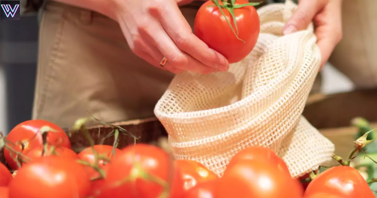 Tomato prices cross ₹ 100