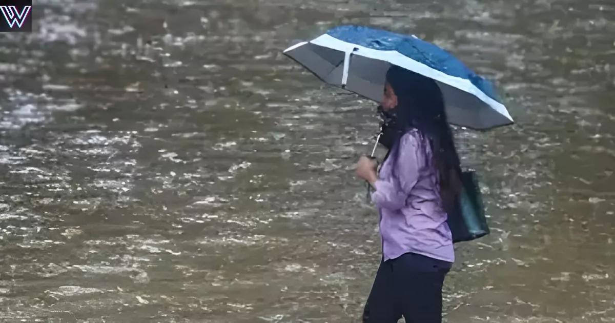 Forecast of rain in other areas including Delhi and NCR