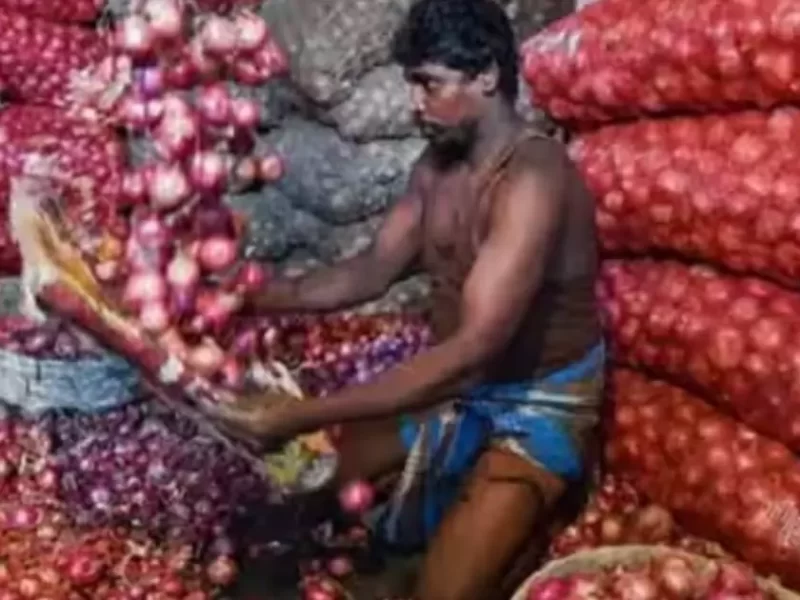 Government will sell onions at the rate of Rs 25 per kg