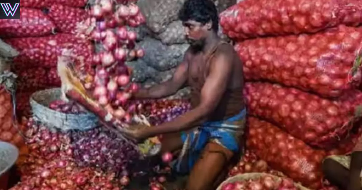 Government will sell onions at the rate of Rs 25 per kg