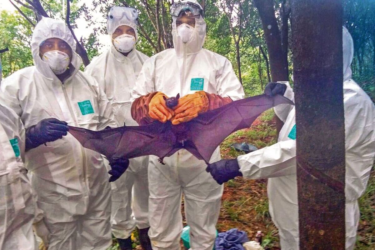 Deadly Nipah virus is spreading rapidly