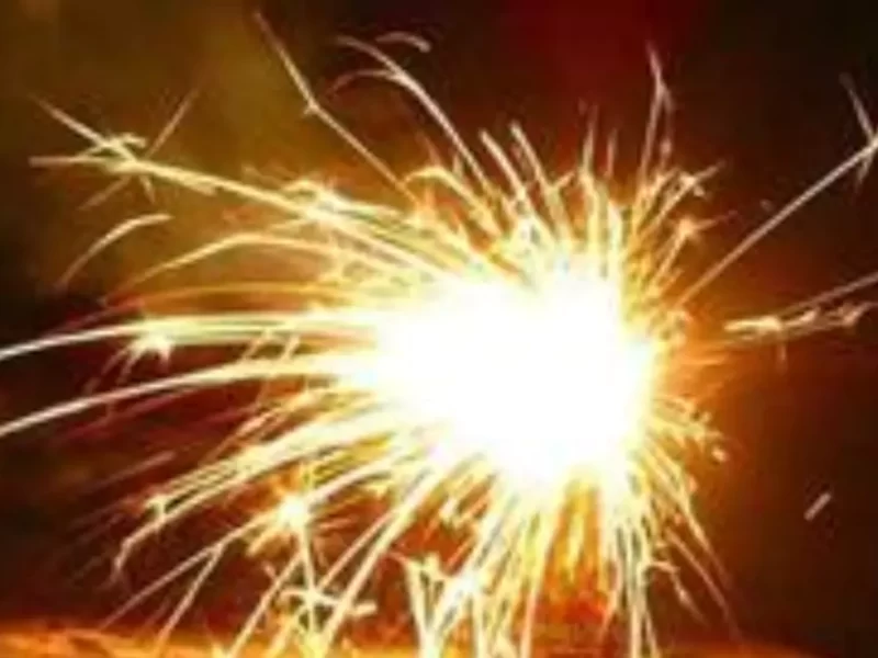 You will not be able to burn firecrackers in Delhi this year too