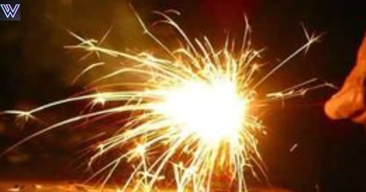 You will not be able to burn firecrackers in Delhi this year too