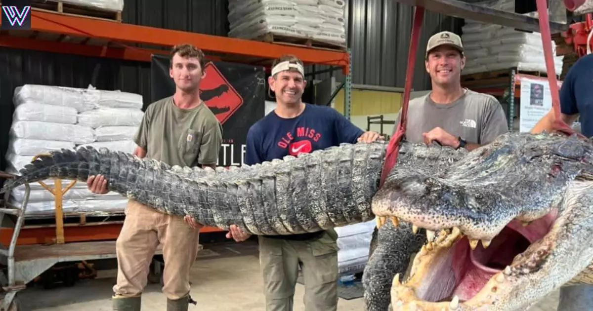 Hunters caught a giant crocodile like monster